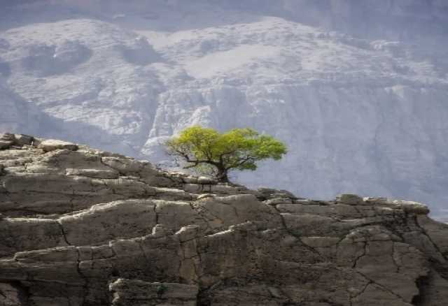 ندای لرستان