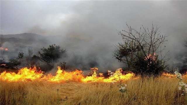 4 شهر لرستان در کانون حریق مزارع