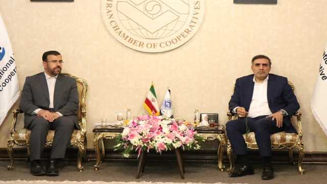 سهم تعاونی‌ها در GDP به 7 درصد رسید