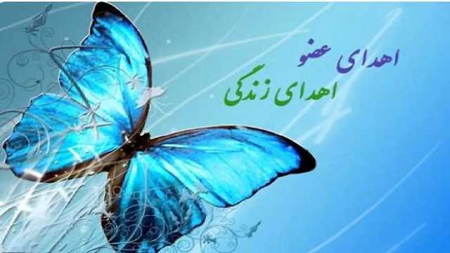 انجام نخستین اهدای عضو سال 1404در گیلان