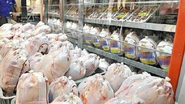 عرضه عمده مرغ مازندران در بازار کشور