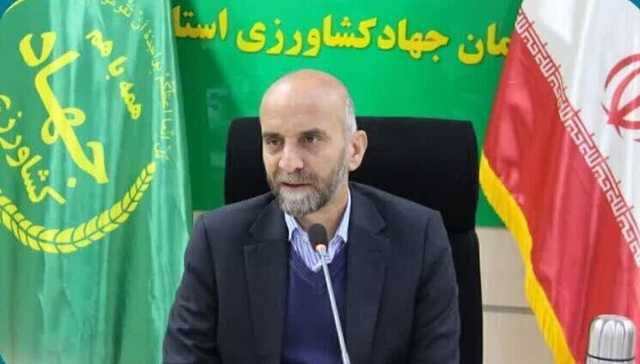 اشتغال بخش کشاورزی لرستان 10 درصد بالاتر از میانگین کشوری