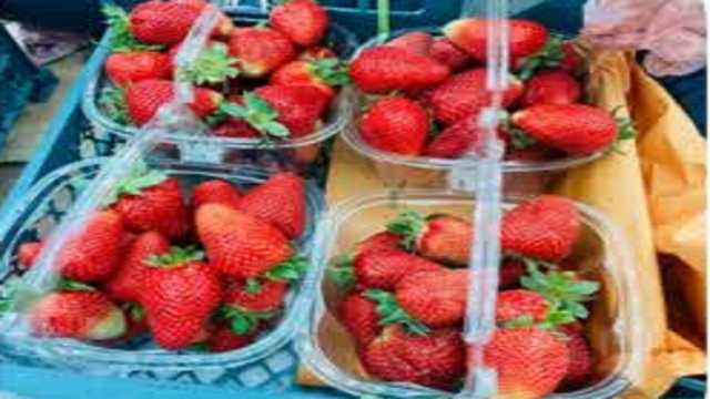 برداشت نوبرانه‌های سرخ در جویبار