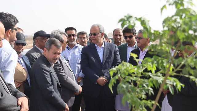 پارک جنگلی زاهدان به سامانه‌های آبیاری نوین مجهز شده است