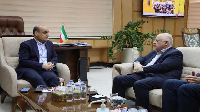 6 هزار کیلومتر از خطوط برق گیلان بازسازی می‌شود