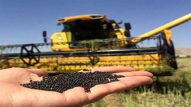 آغاز فعالیت مرکز خرید کلزا در ساری