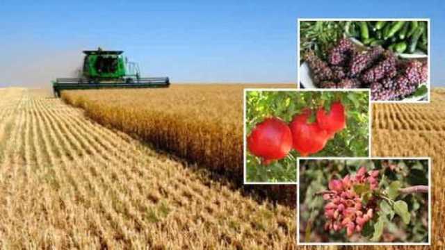 افتتاح چهار پروژه مهم صنعتی، زیربنایی و کشاورزی در استان کرمانشاه