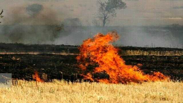 شناسایی 7 نقطه بحرانی آتش سوزی در مزارع پلدختر