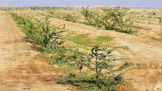 انتقاد دادستان خوزستان از تعلل 12 ساله در اجرای پروژه کمربند سبز اهواز