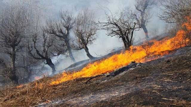 اعزام بالگرد از هوانیروز ارتش برای مهار آتش‌سوزی کوه سولک صیدون