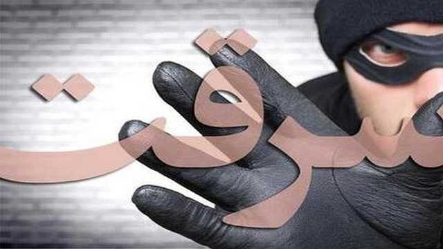 سارق سکه‌ها و نسخه‌های تاریخی مقبره شاه نعمت الله ولی دستگیر شد