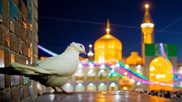 مشهد مقدس در سالروز میلاد امام رضا (ع) غرق در نور و سرور شد + فیلم