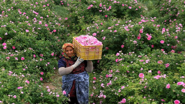 فَرُخَد؛ کاشان کوچک در دل خراسان