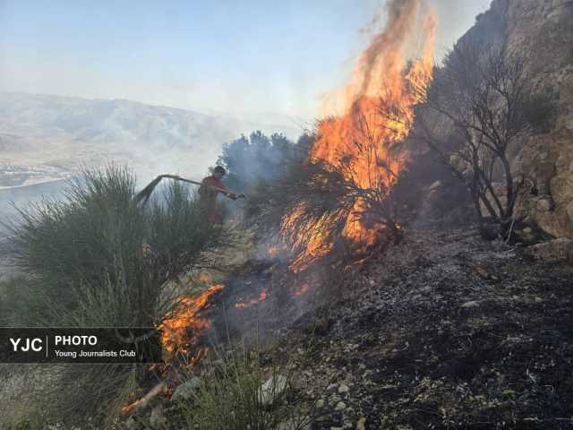 آتش‌سوزی گسترده در کوه دراک شیراز/ مهار حریق در سه ضلع + فیلم