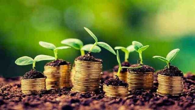 اعطای تسهیلات به 535 طرح کشاورزی در سربیشه