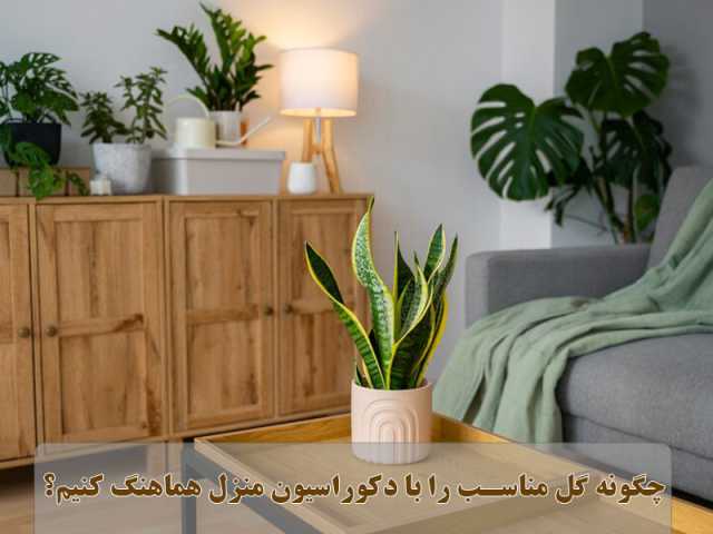 پیام مازند