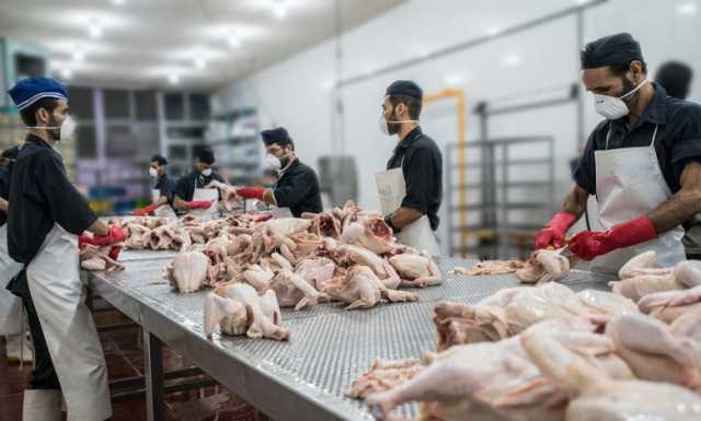 قیمت جدید مرغ امروز 22 اردیبهشت 1404 اعلام شد