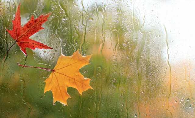 هوای سرد و بارش باران در نیمه شمالی