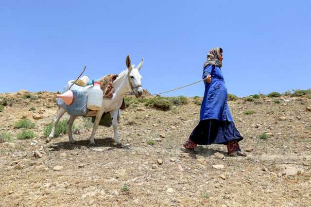 ندای لرستان