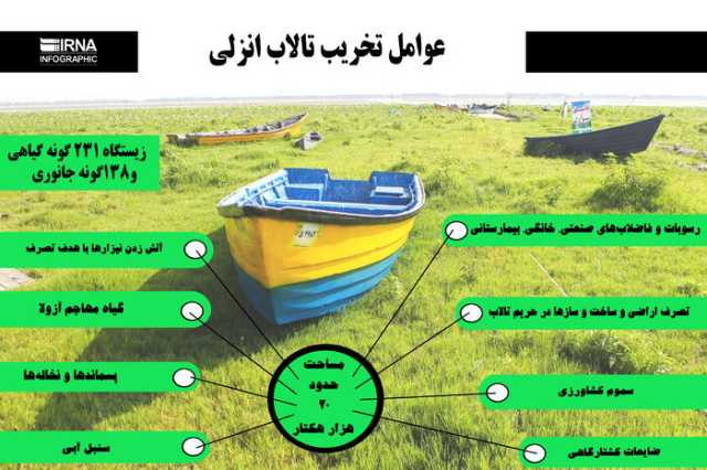 نسیم گیلان