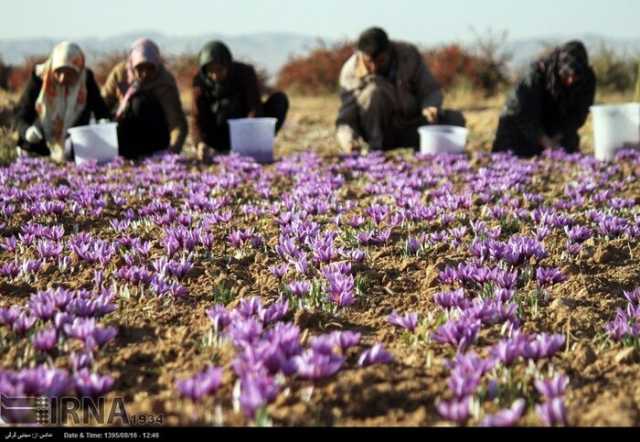 ندای لرستان