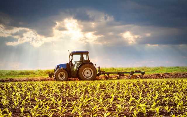 فروش مطلوب اکثر شرکت‌ های کشاورزی و دامپروری