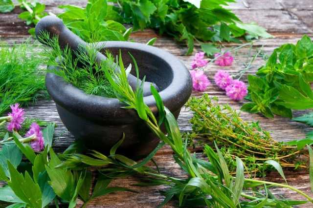 آغاز نمایشگاه گل و گیاه اصفهان