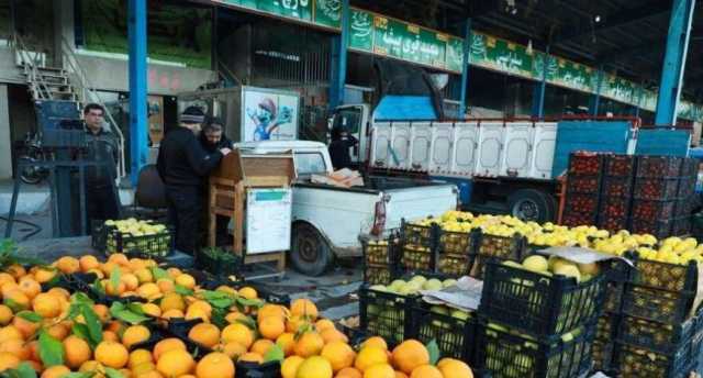 آغاز توزیع گسترده میوه تنظیم بازار با نرخ مصوب در استان فارس