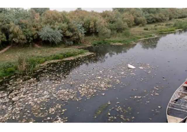 از نماد شادابی تا تهدید بهداشت؛ سرنوشت تلخ رودخانه دز در شهر حُر از توابع شوش