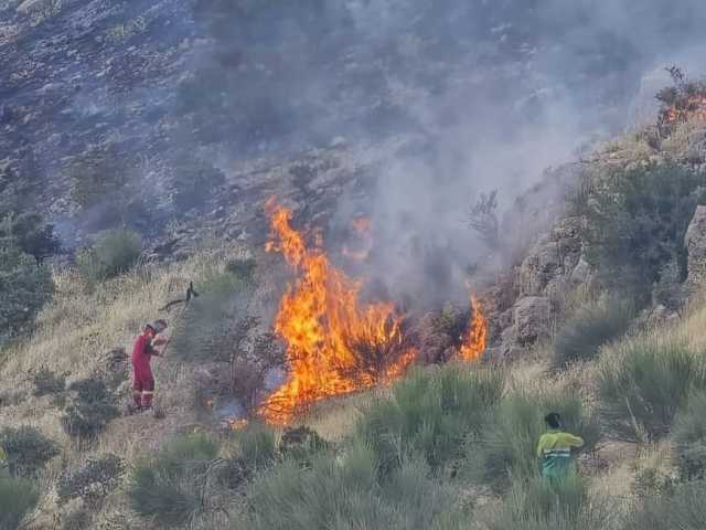 پیام فارس