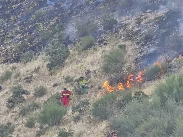 پیام فارس