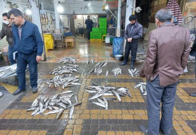 10700 تُن انواع ماهی خوراکی در اصفهان تولید شد