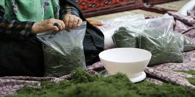 3 هزار میلیارد ریال وام مشاغل خانگی در لرستان پرداخت شد