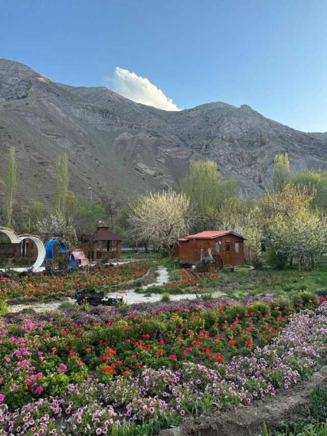 کوهپایه های البرز میزبان چهارمین جشنواره گل ها شد
