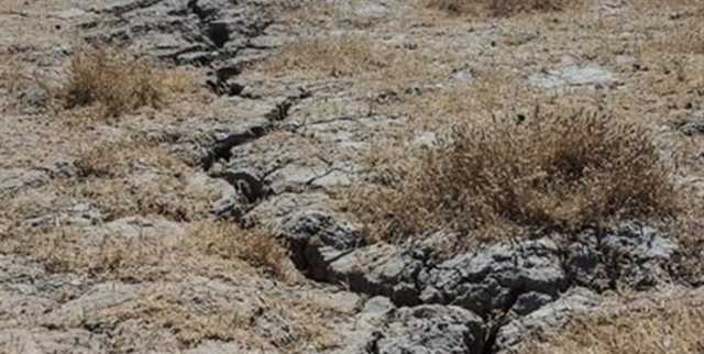 برگزاری روز جهانی خاک به صورت مجازی در کردستان