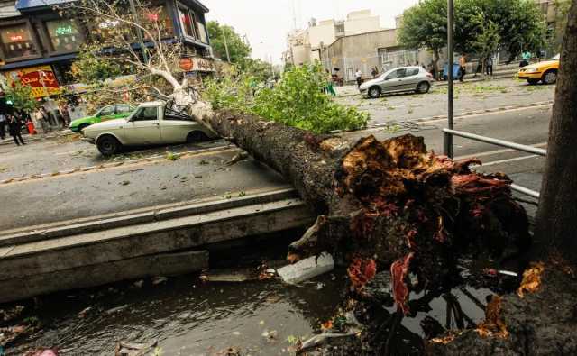 آمار فوتی‌ها و مصدومان طوفان‌های اخیر اعلام شد | 2 عامل باعث مرگ این افراد شد