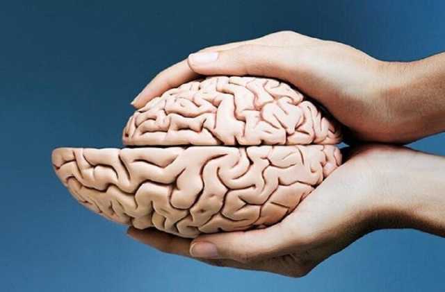 برطرف نشدن نیازهای مغز چه تاثیری روی ما می‌گذارد؟ | 3 نیاز اساسی مغز