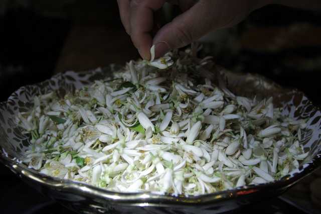 این شهر بوی نارنج می دهد
