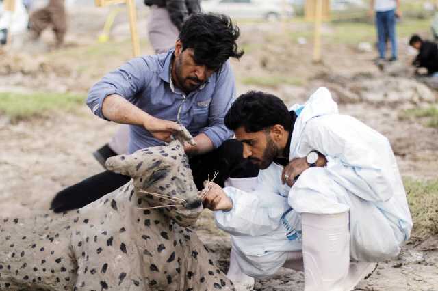 پیام خراسان