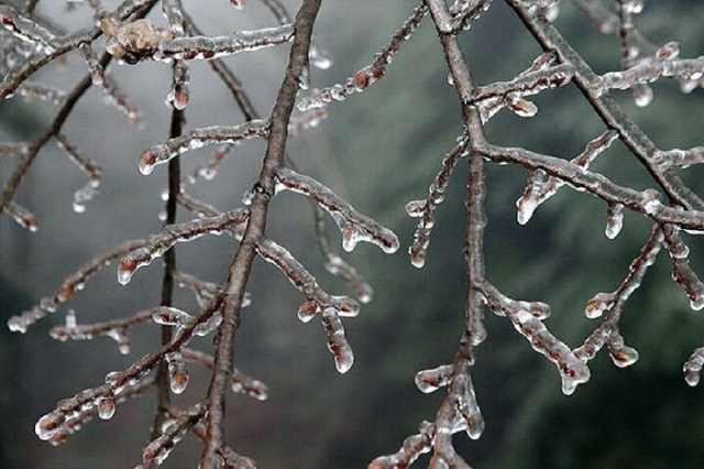 دمای هوا در قاملو کردستان به زیر صفر درجه رسید