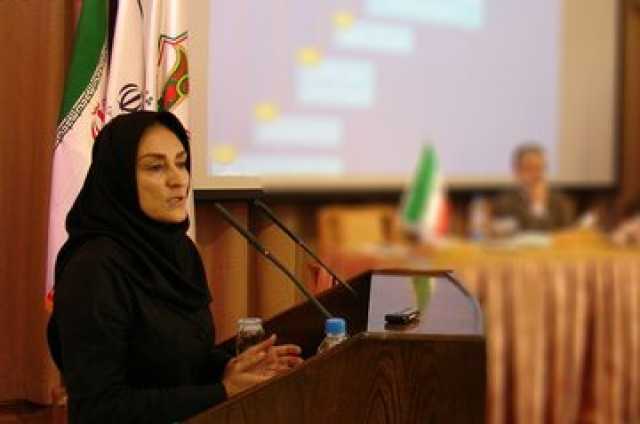 معاون فرهنگستان زبان و ادب فارسی: عشق کلمه عربی است اما واژه‌های فارسی مانند مهر و دوستی جای ان را نمی‌گیرد