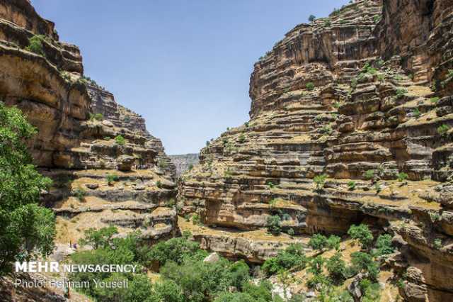 ندای لرستان