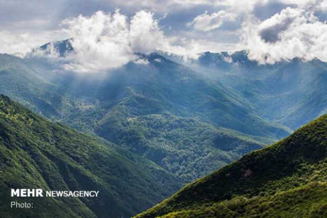 ۴ گردشگر در جنگل ابر شاهرود نجات یافتند