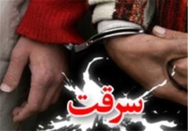 29 دستگاه وسیله نقلیه سرقتی در گیلان کشف شد