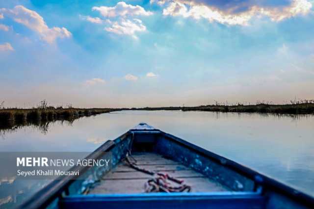 «تالاب شادگان» تلاقی زیبای آب و نخل و نیزار