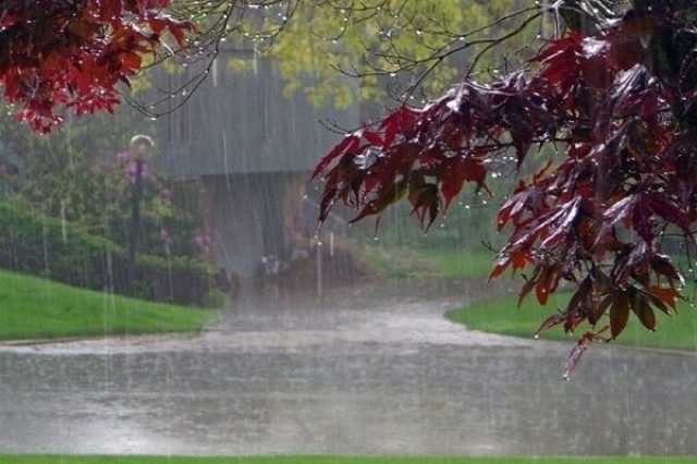 بارندگی در کوهرنگ به ۲۹۷ میلی متر رسید