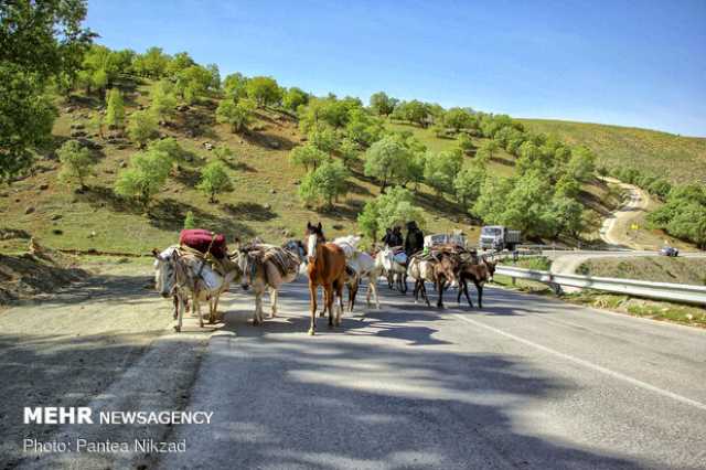 پیام آذری