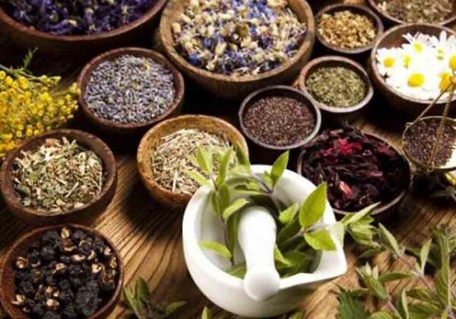 گردش مالی گیاهان دارویی ایران 500 میلیون دلار است
