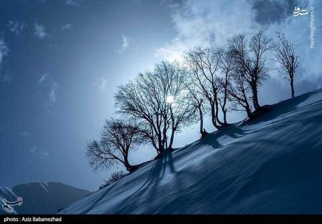 ندای لرستان