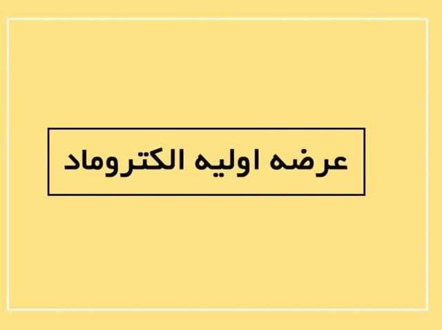 الکتروماد 23 بهمن ماه عرضه اولیه می شود